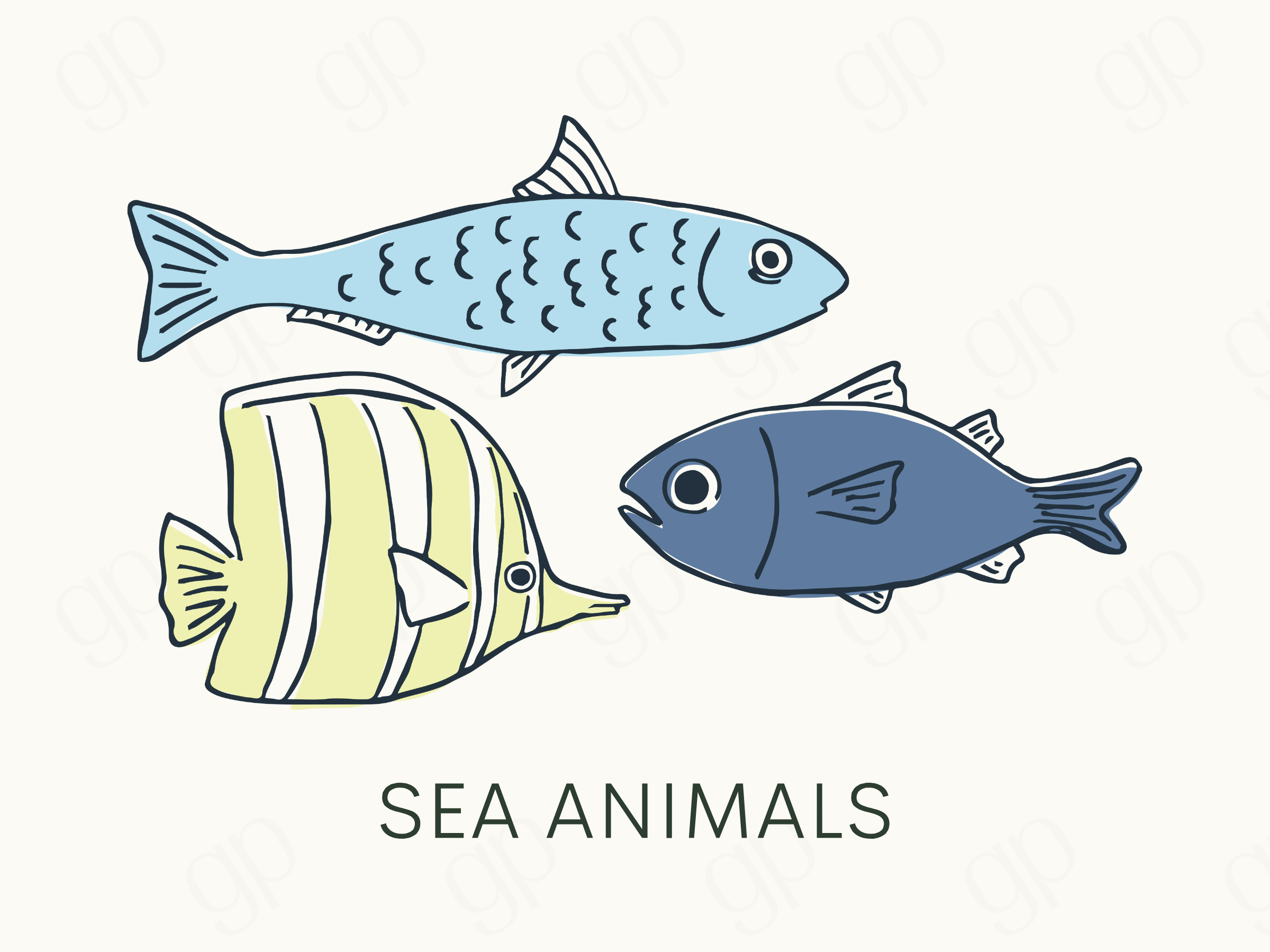 Sea Animals